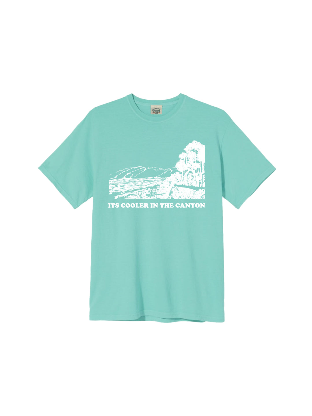 Cooler in the Canyon Adult Tee in Mint