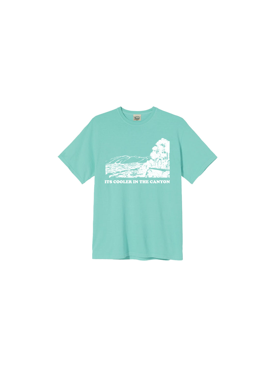 Cooler in the Canyon Youth Tee in Mint