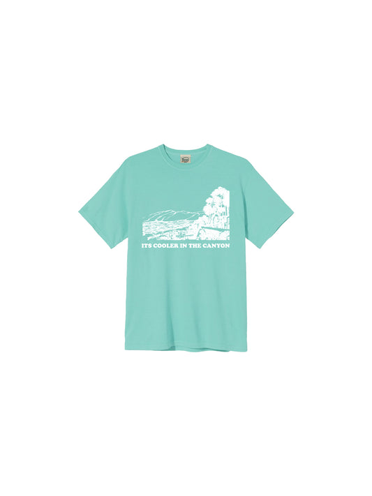 Cooler in the Canyon Youth Tee in Mint