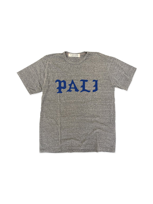 Triblend Pali Tee in Heather Grey