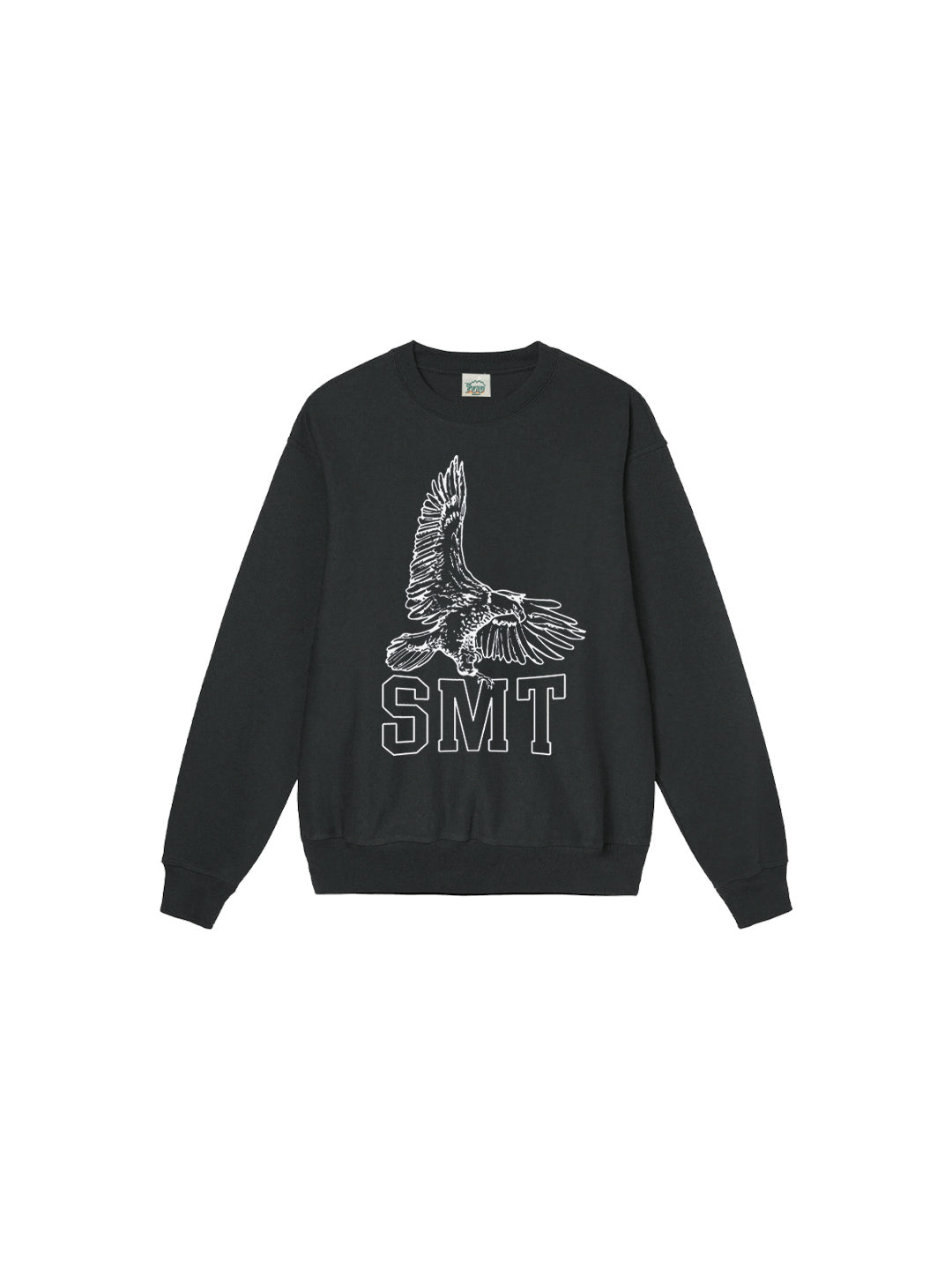 SMT Eagle Youth Sweatshirt