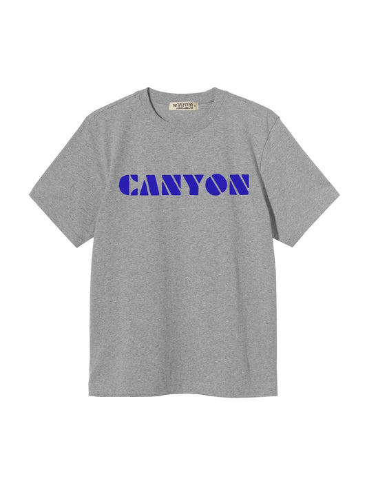Canyon Youth Tee in Heather Grey